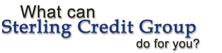 Commercial Credit Reports
